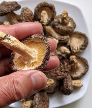 画像をギャラリービューアに読み込む, 香りバツグン有機JAS乾燥シイタケ60g【VP - SDK】 - age - design shopify store