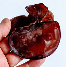 画像をギャラリービューアに読み込む, 季節限定・日持ち抜群フレッシュ有機JASきくらげ1キロセット - age - design shopify store