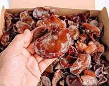 画像をギャラリービューアに読み込む, 季節限定・日持ち抜群フレッシュ有機JASきくらげ1キロセット - age - design shopify store